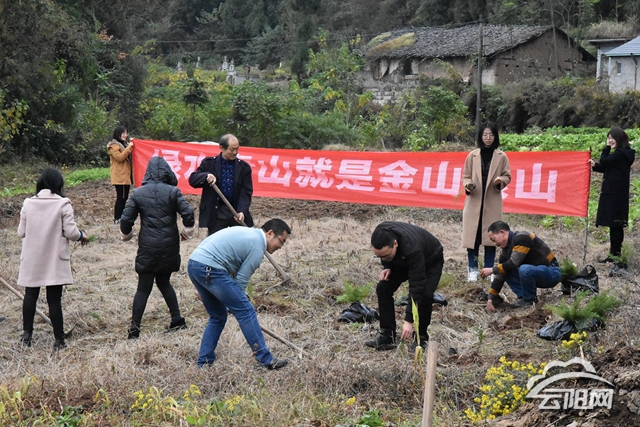 宝坪镇新领导团队引领未来，共筑美好新篇章