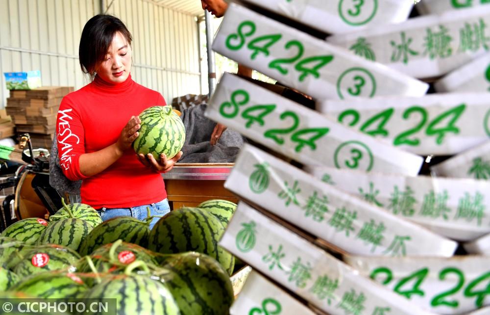 刘暗楼乡未来繁荣蓝图，最新发展规划揭秘