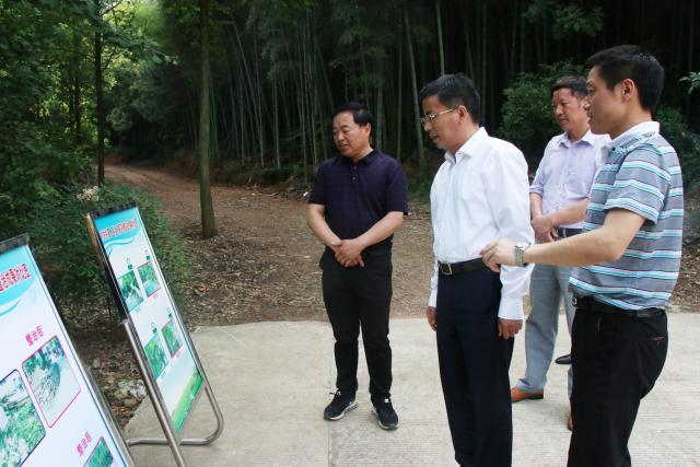 孙埠镇未来繁荣蓝图，最新发展规划揭秘