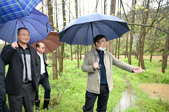 黄泥坳街道最新动态报道