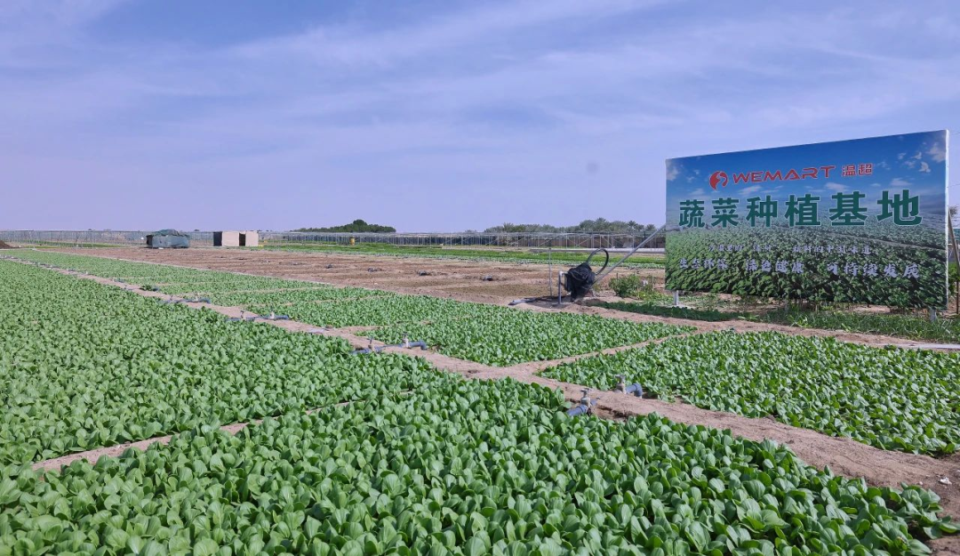 凤南农场最新交通动态报道