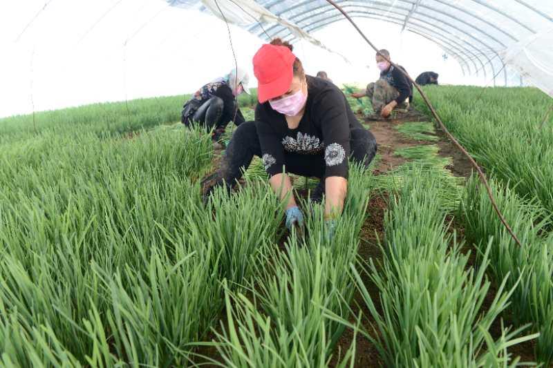 兰岭乡全新发展规划揭晓