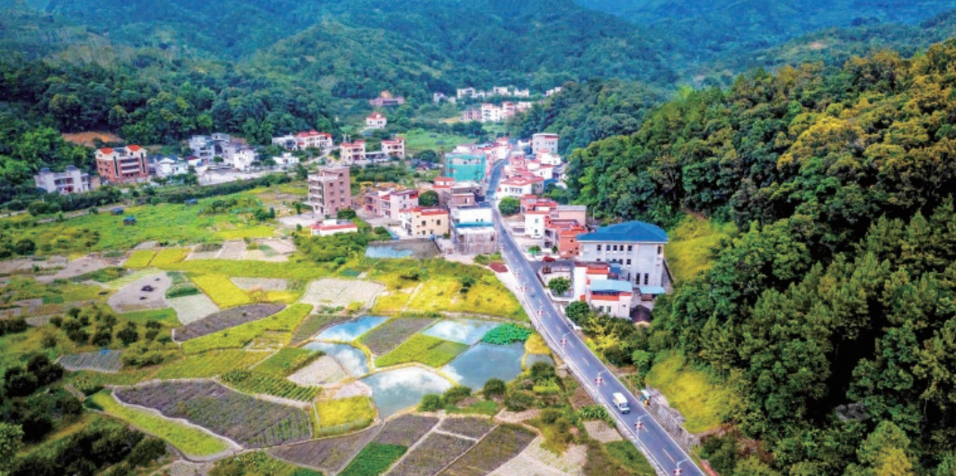 畹町经济开发区六库镇最新领导团队，地区发展的核心力量引领者