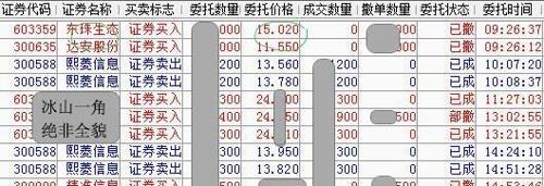 2024年12月15日 第64页