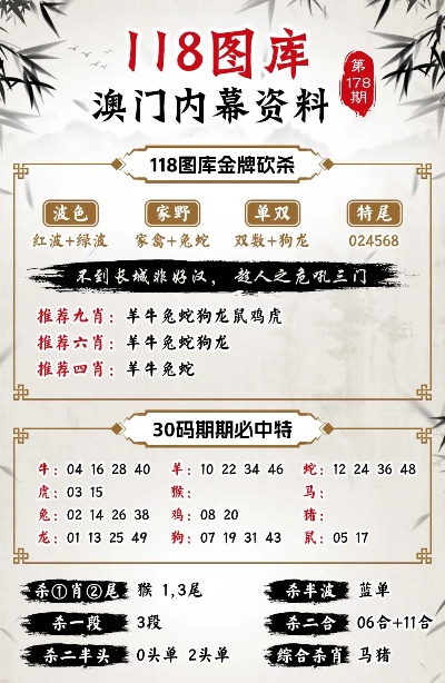 澳门精准王中王免费公开,调整方案执行细节_豪华版180.300