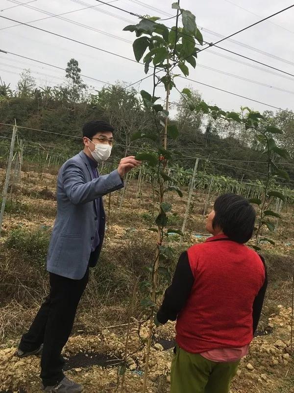 批果村全新发展规划概览