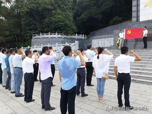 大树乡新项目引领乡村发展新征程