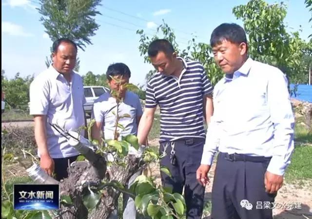 东郭村镇未来繁荣新蓝图，最新发展规划揭秘