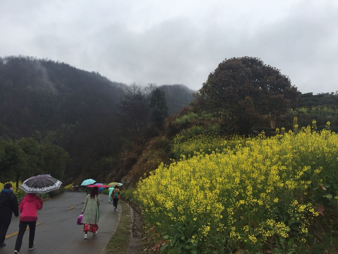 黄洞乡天气预报更新通知