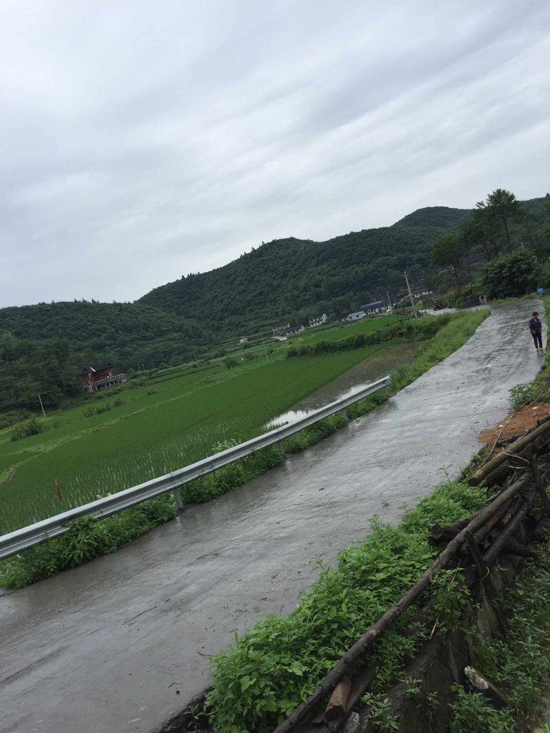 双水井村天气预报更新通知