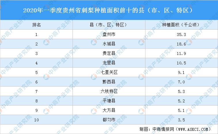 龙里县统计局领导团队全新亮相，工作展望与期待