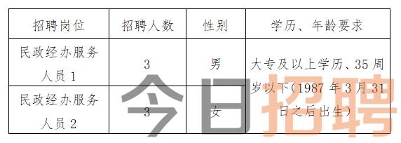 边坝县民政局最新招聘信息概览