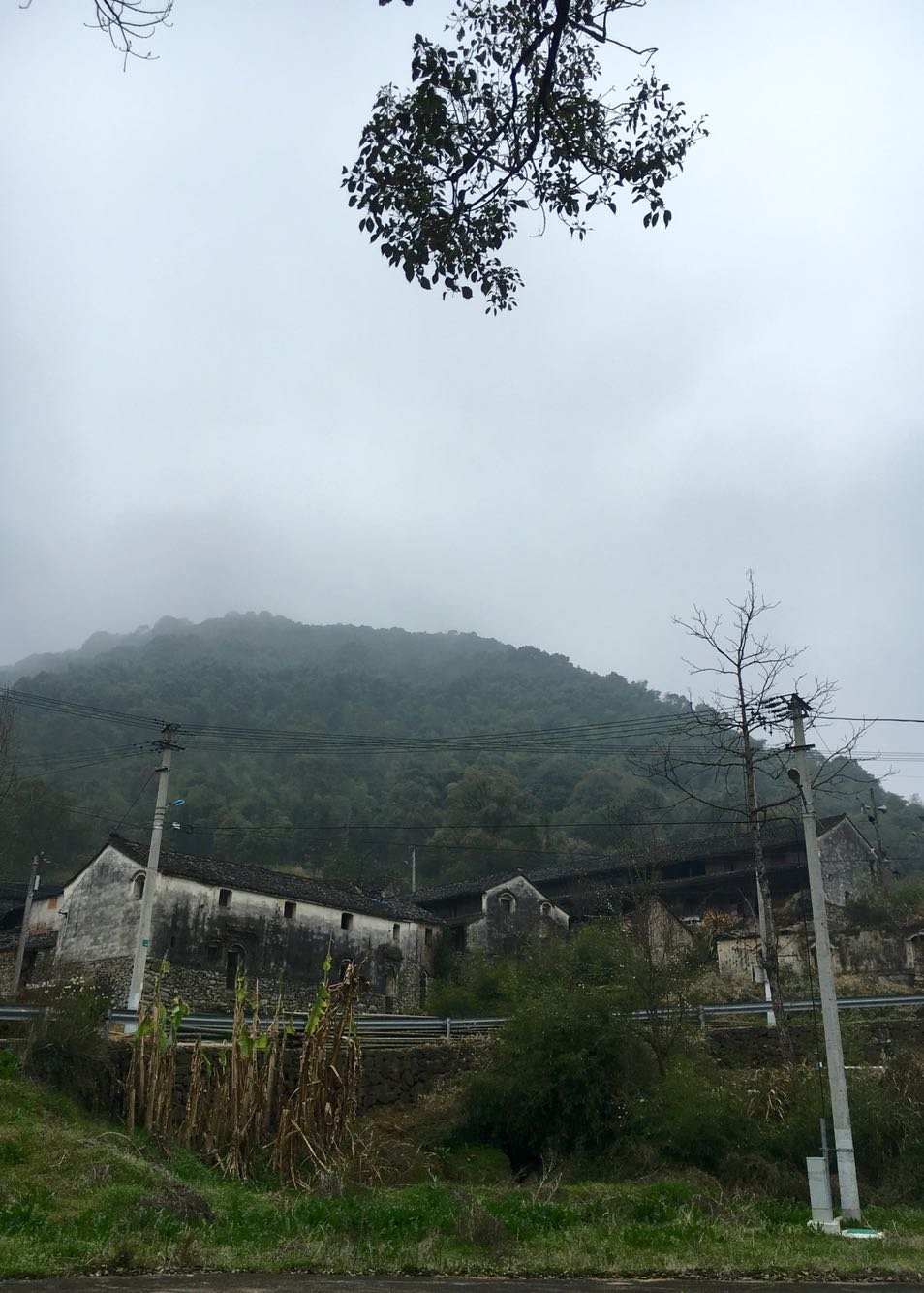 石耶镇天气预报更新通知