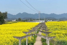 坛石镇天气预报更新通知