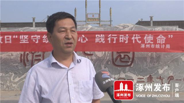 涿州市统计局招聘启事，最新职位与要求全解析