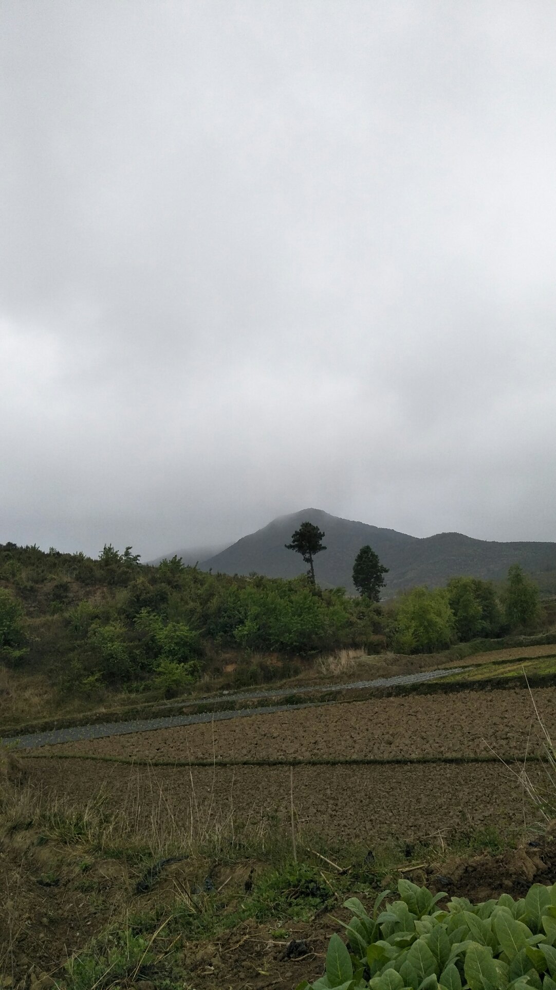 申都乡天气预报更新通知