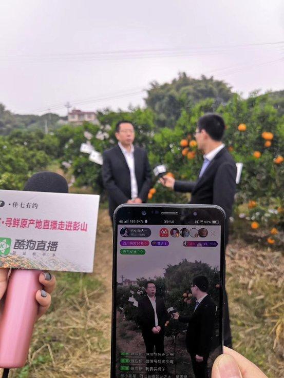 彭山县科技局等最新招聘信息详解