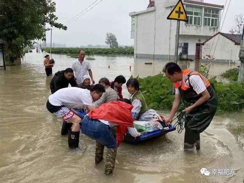 肥东县退役军人事务局新项目，重塑荣耀，启航未来