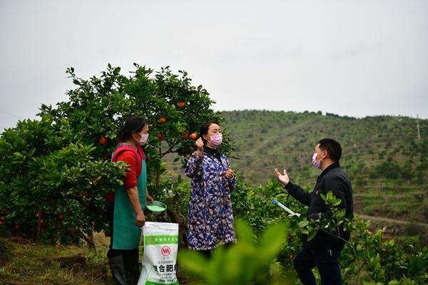 惠农区防疫检疫站招聘信息与职业机会深度解析