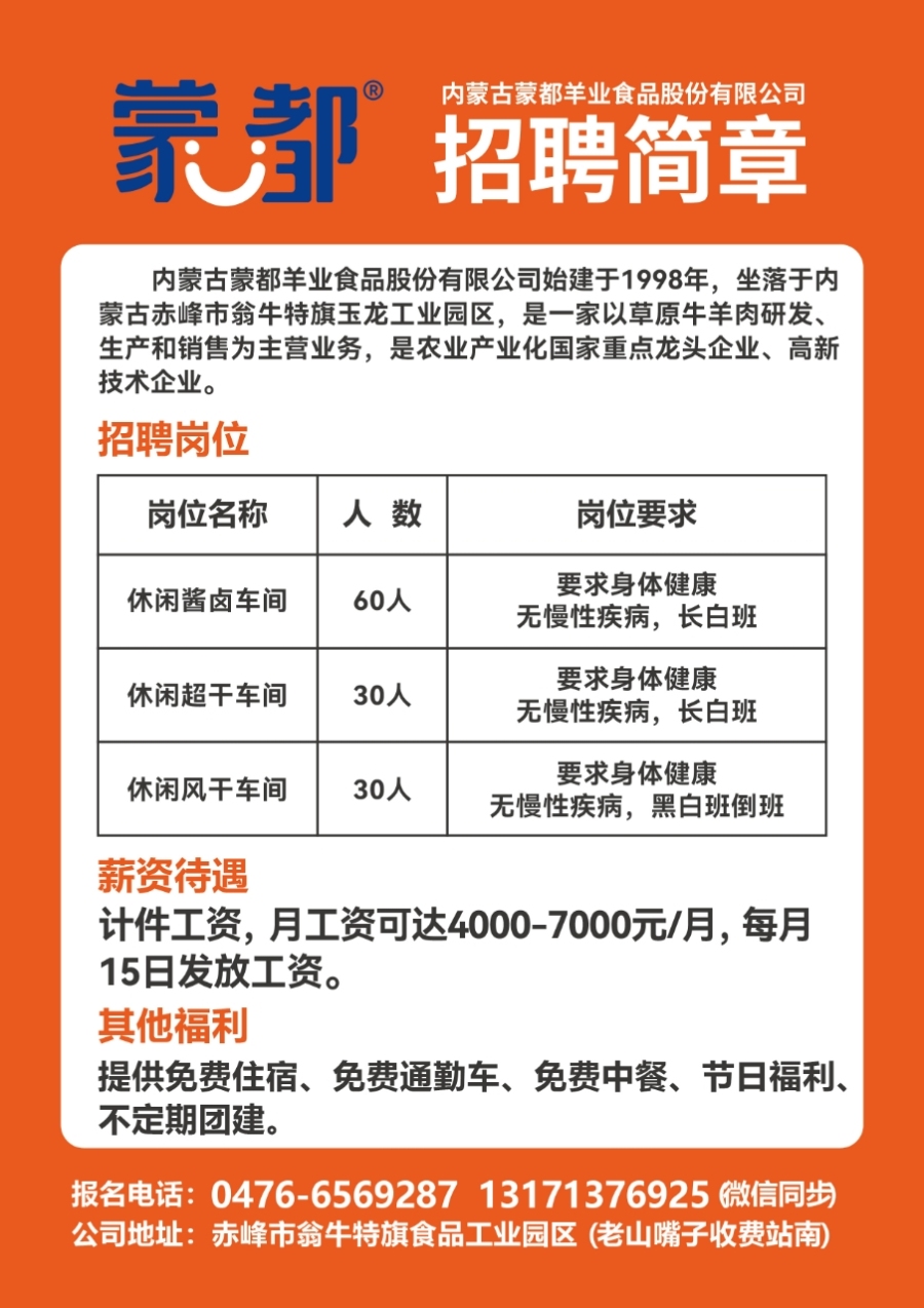 工农区级托养福利事业单位招聘信息与相关内容深度解析