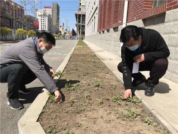 顺城区教育局领导团队引领教育改革新篇章