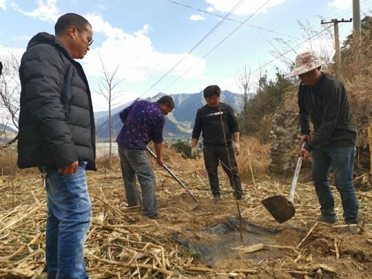 金沙村委会重塑领导团队，人事任命推动村级发展新篇章